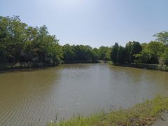 -上海海湾国家森林公园