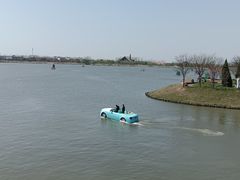 -荷兰花海