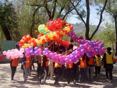 -东方巨龟苑景区