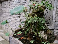 -鱼桥巷·美学川菜