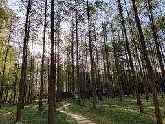 -河南省黄河迎宾馆