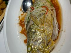 -大锅强·蒸海鲜青岛菜(金沙滩店)