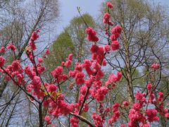 -御花园·粤菜·海鲜火锅(中山公园店)