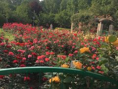 -郑州植物园