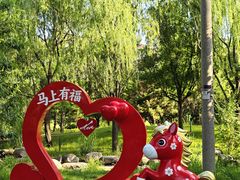 -莲花池公园