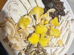 -大理董·董家小厨野生菌火锅(古城旗舰店)