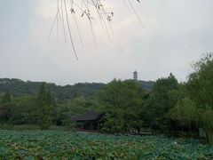 -石榴院子(西施故里店)