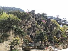 -老幺泉水鸡