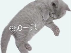 -127陈设艺术产业园-A座