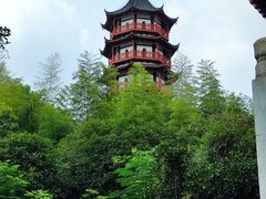 -绳金塔