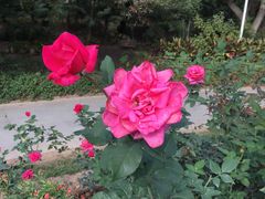 -人民公园(罗湖区)