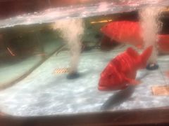 -阿伟海鲜楼·福建菜(延寿店)