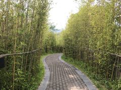 -广州都喜泰丽温泉度假酒店