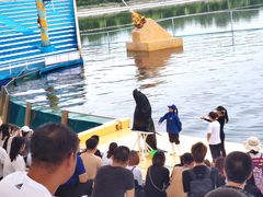 -秦皇岛乐岛海洋王国