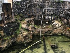 -神光山国家森林公园