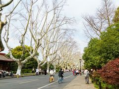 -西湖游船