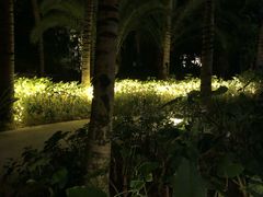 -三亚湾海居铂尔曼度假酒店