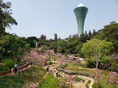 -狐尾山公园