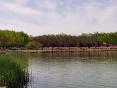 -大兴滨河森林公园