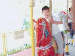 -秦皇岛乐岛海洋王国