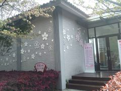 -高东镇樱花园