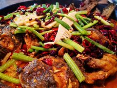 -老板恋上鱼(恒隆广场店)