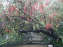 -人民公园(罗湖区)