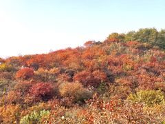 -北京西山国家森林公园