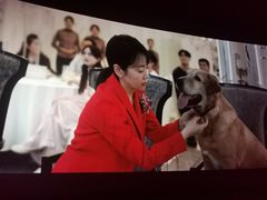 -天津美亚HeyLED影城(天津水游城店)