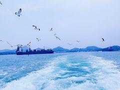 -海驴岛(荣成市)