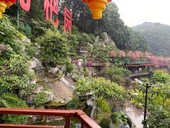 -枇杷园食为鲜火锅(南山店)