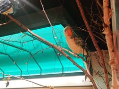 -可口香·非遗老号烧烤(南岗直营店)