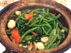 啫啫空心菜-煲煲好(朝阳门店)