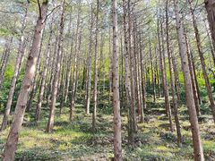 -青岛崂山太清宫