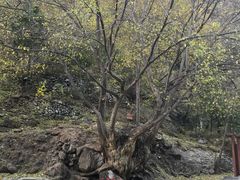 -孤山寨风景区