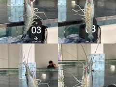 -SHRIMP CLUB万东餐饮钓虾·清吧