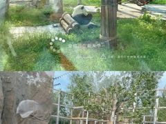 -临沂动植物园