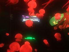 -多彩贵州城极地海洋世界