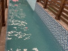 -南宫温泉水世界