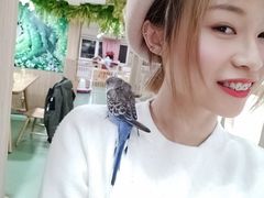 -藦茜花园宠物主题亲子互动体验馆(国顺东路店)