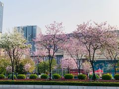 -遇见小面(凯德广场店)