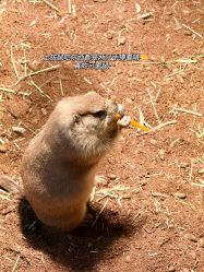 -Zoolung Zoolung动物主题公园(海信广场店)