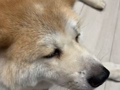 -YCHL Studios健身工作室(市二宫店)