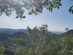 -大岭沟猕猴桃谷风景区