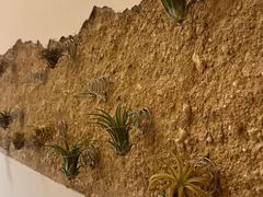 -兮食农场餐厅