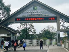 -中国大熊猫保护研究中心雅安碧峰峡基地
