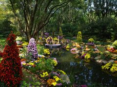 -上海共青森林公园