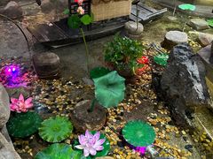 -寻钵记民菜馆·正宗常德钵子菜(滨湖路店)