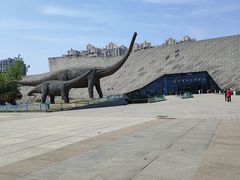 -安徽省地质博物馆