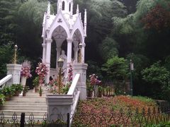 -上海佘山国家森林公园西佘山园